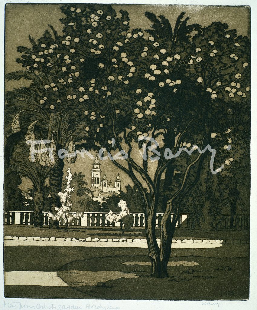 Etching, Sepia, Bordighera, Trees